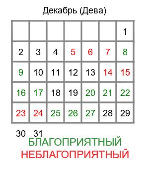 дева гороскоп на декабрь