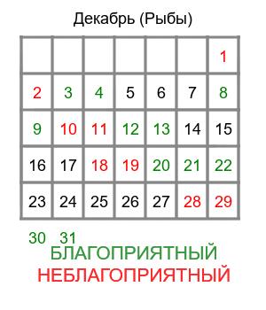 рыбы гороскоп на декабрь