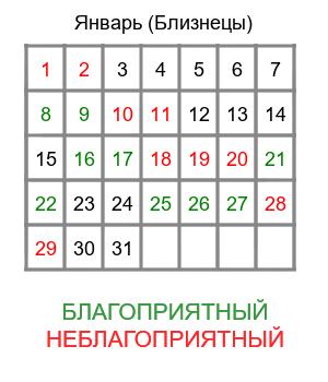 близнецы гороскоп на январь